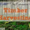 Economics Of Timber Harvesting