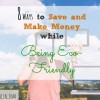 eco-friendly solutions, go green, save money