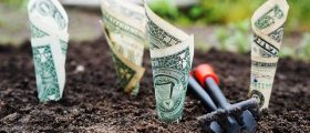 How to know if a company is worth investing in